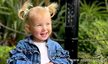 Girl, 2, killed in horror crash at UK holiday park as woman arrested by police