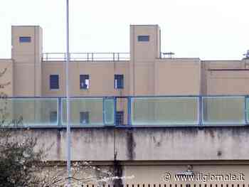 "Stavo andando fuori di testa". Lo sfogo del turista arrestato per errore