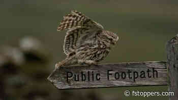 Is Stock Photography Worth It in 2023?