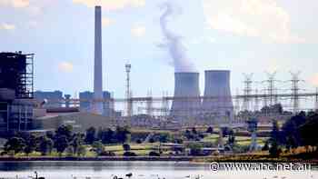 'Imminent and urgent investment' required as national energy grid faces reliability fears ahead of hot summer