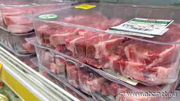 Cheaper meat on the horizon, but alarm for farmers as prices slump