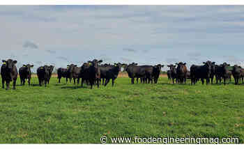 New Grinding Equipment and Automation Continue Optimization for FPL Food