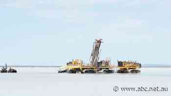 Global gold giant apologises for 'distressing' findings of widespread sexual harassment and bullying