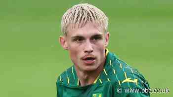 Carabao Cup: Bristol City 0-1 Norwich City: Placheta scores as Norwich beat Bristol City