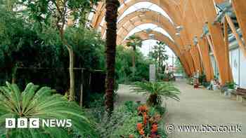 Exhibition to showcase Sheffield's young artists' talent