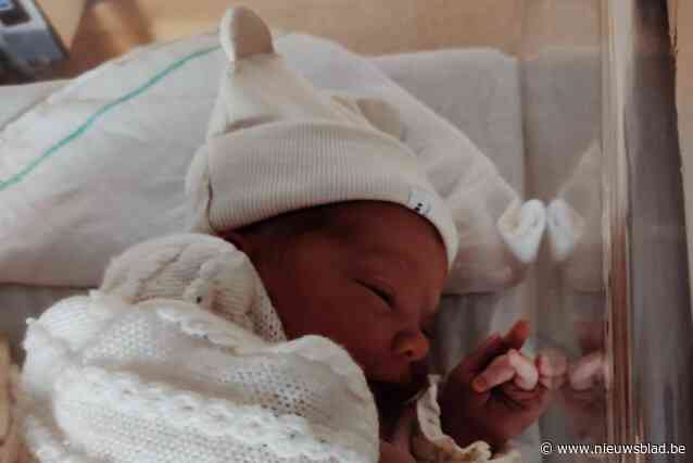 Ooievaars laten schattig pakketje achter bij schepen Lauwereys en zijn vrouw