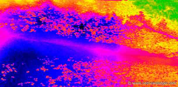 Blue-Green Algae Alert: Hazelwood Lake Public Beach Area Tests Positive