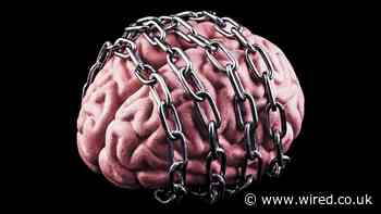 The Inventor Behind a Rush of AI Copyright Suits Is Trying to Show His Bot Is Sentient