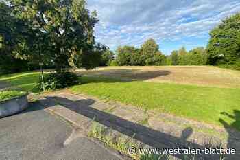 Grünes Licht für neues Quartier in Elverdissen