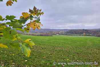 Warburg: Stadtrat will neue Tongrube in Hardehausen verhindern