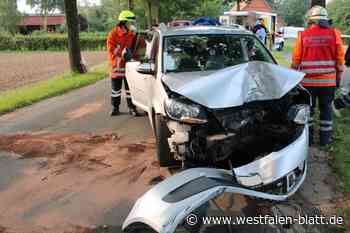 Autofahrerin kollidiert in Petershagen mit Baum