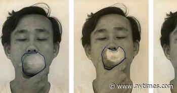 Korean Experimental Art Gets a Star Turn at the Guggenheim