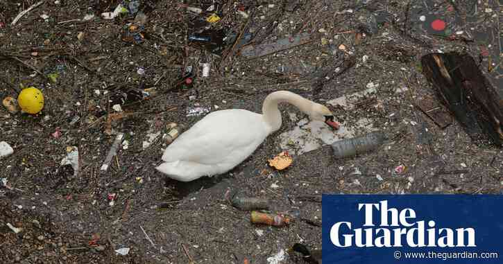 RSPB versus the Tories: Six claims, the truth or otherwise