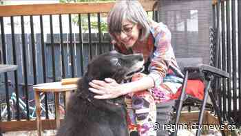 Sask. woman with terminal cancer seeks new home for 3 dogs