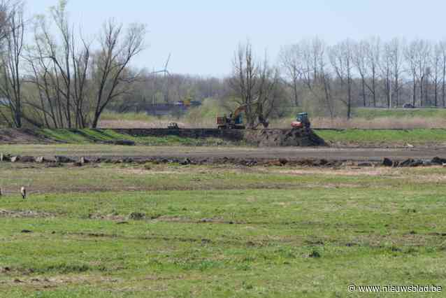 Oppositiepartij TESAMEN vreest voor een knijtenplaag: “We hebben niet de indruk dat De Vlaamse Waterweg het probleem au sérieux neemt”
