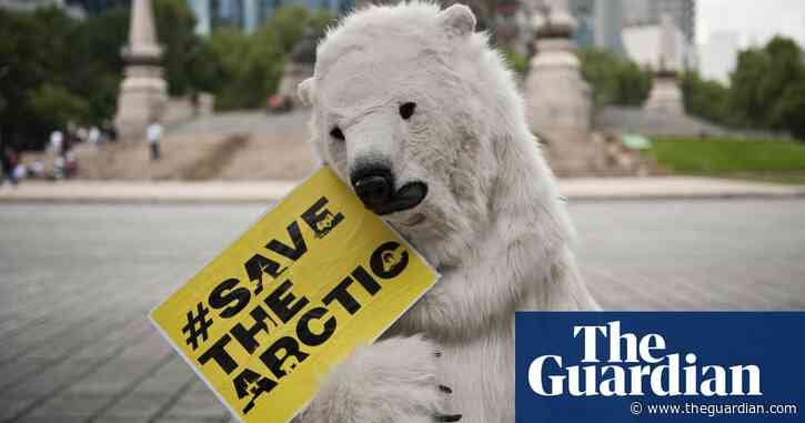 Why it may be time to stop using the polar bear as a symbol of the climate crisis