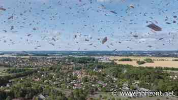 Film von BETC Paris: So kreativ sagt Leclerc Adieu zum gedruckten Handzettel