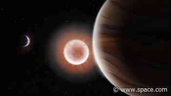 NASA's exoplanet hunter TESS spots warm Jupiter with longest known year