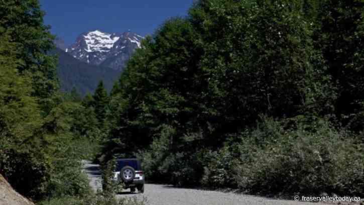 Mission Municipal Forest reopens ahead of long weekend after cooler weather, rainfall