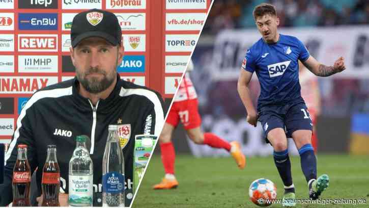 VfB-Trainer Hoeneß: Hohe Erwartungen an Stiller