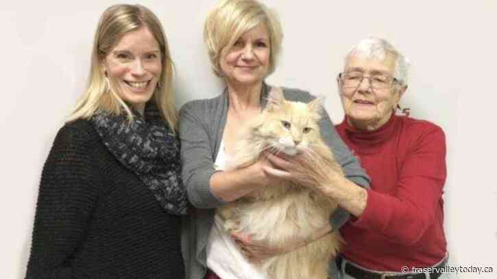 Ena Vermerris, a passionate advocate for the well-being of cats and dogs in Chilliwack, has died