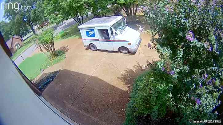 VIDEO: Postal worker tosses packages from mail truck in Tennessee