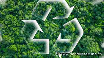 Sind meine Lieferanten nachhaltig?