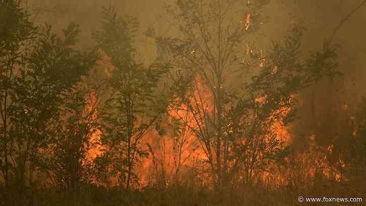 Greece sends 100 more firefighters to country's northeast as blaze flares up in 13th day