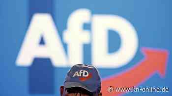 AfD in aktuellen Wahlumfragen: Gegen die Partei hilft vor allem bessere Politik