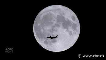Plane, geese fly in front of super blue moon in Windsor, Ont.