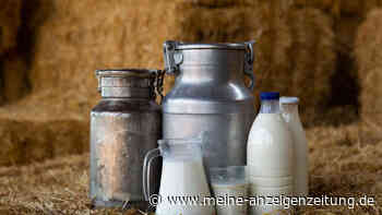 Alpenmilch, Heumilch, Bergbauernmilch: Was bedeuten die Bezeichnungen und ist die Milch wirklich besser?
