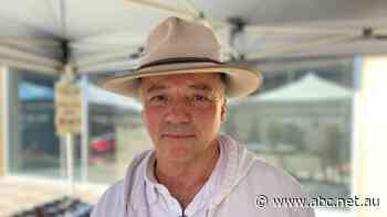 Beekeepers seeking millions in damages as hives destroyed in varroa mite eradication