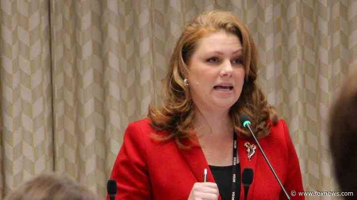NC Republican Rep. Erin Paré runs for Democrat-controlled US House seat