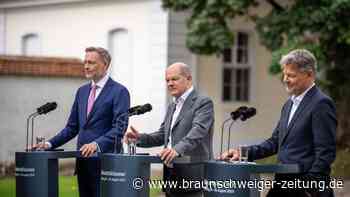 Zufriedenheit mit Bundesregierung sinkt auf 19 Prozent