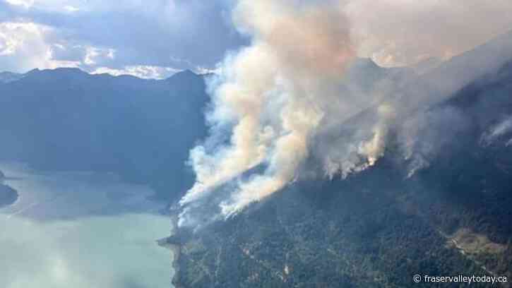 ‘Persistent’ bears force 160 firefighters to pull out of B.C. Interior camp