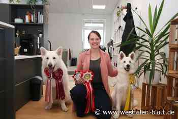 Weltmeister mit kalter Schnauze und richtigem Styling