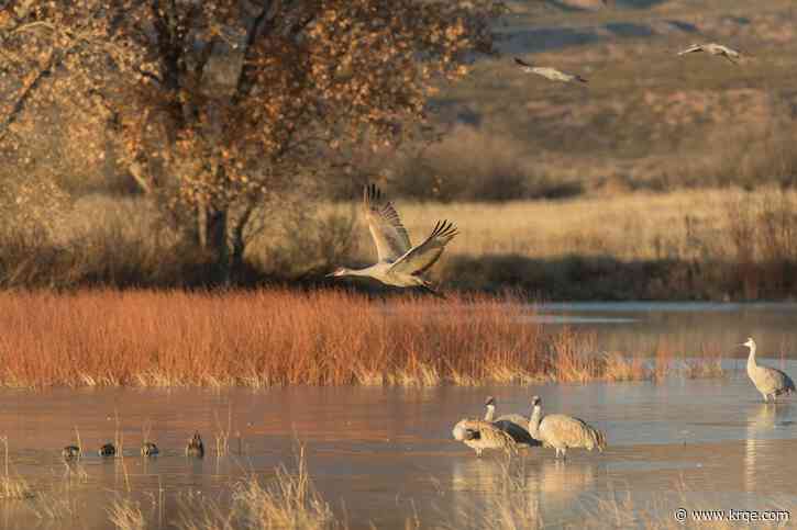 In New Mexico, federal funds improving Bosque del Apache, Socorro Nature Area