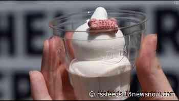 Dairy Queen is selling pup cups in Hampton Roads to raise money for local animal shelters