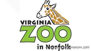 Virginia Zoo to celebrate craft beer with 'Roar & Pour'