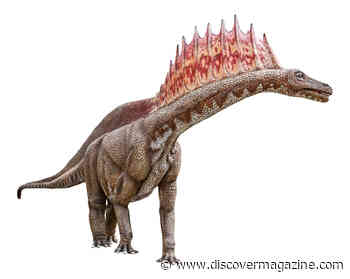 Scientists Discovered a New Dinosaur That Is a Mini-Brontosaurus With Spikes