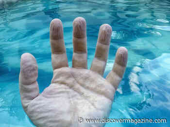 Why Do Fingers Get Wrinkly After A Long Bath Or Swim? A Biomedical Engineer Explains