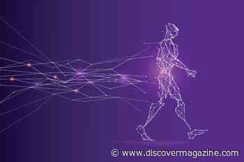 Introducing The Simplest Walking Robot