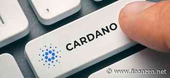 Cardano: Wale zeigen sich kauffreudig