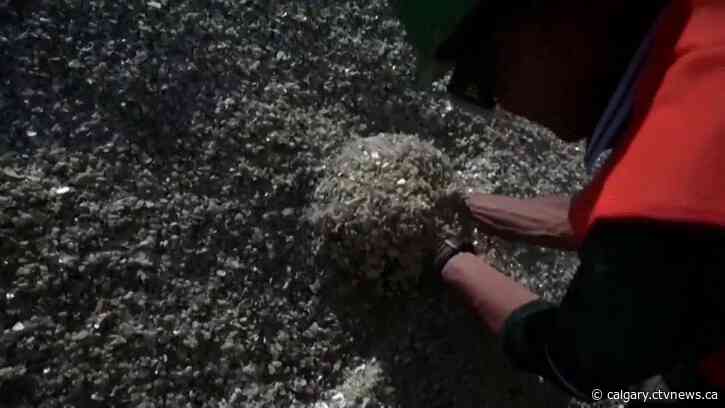 Industry being built around Alberta's ample liquid brine lithium supply turning major corner