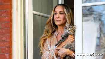 Max Streaming Service Launches Top 10 Rows     - CNET