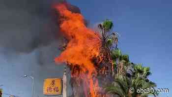 Palm trees catch fire outside of vacant restaurant in central Fresno