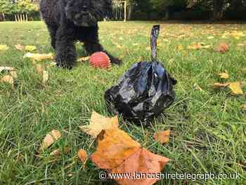 Ribble Valley: Dog dirt and control review sparks views