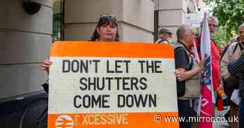 'Voters won't forgive the Government if they go ahead with this act of mass vandalism'