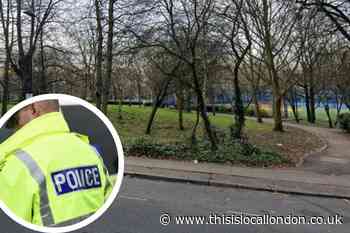 Woman sexually assaulted in Elthorne Park