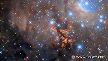 Star-studded stellar nursery shines in new Hubble Telescope photo